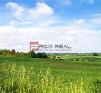 Agrarian and forest land Sale reality Bratislava V