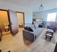 Senec One bedroom apartment Rent reality Senec