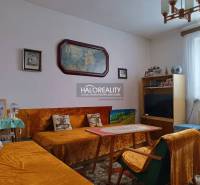 Zemplínska Nová Ves Family house Sale reality Trebišov