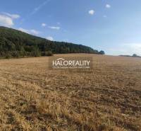 Horná Ves Land – for living Sale reality Prievidza