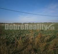 Rumanová Land – for living Sale reality Nitra