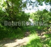 Pastuchov Land – for living Sale reality Hlohovec