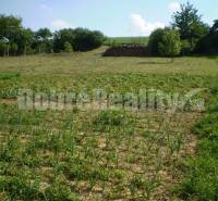 Pastuchov Land – for living Sale reality Hlohovec