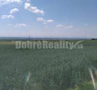 Vinohrady nad Váhom Agrarian and forest land Sale reality Galanta