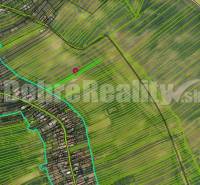 Vinohrady nad Váhom Agrarian and forest land Sale reality Galanta