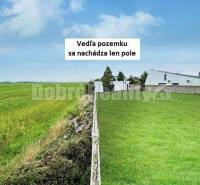 Dunajská Lužná Land – for living Sale reality Senec