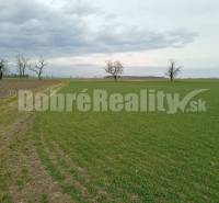 Galanta Agrarian and forest land Sale reality Galanta