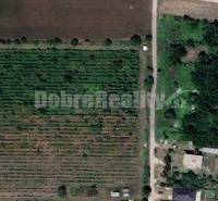 Kaplna Agrarian and forest land Sale reality Senec