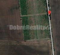 Kaplna Agrarian and forest land Sale reality Senec