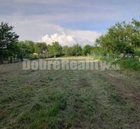 Trnovec nad Váhom Land – for living Sale reality Šaľa