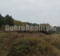 Badín Land – for living Sale reality Banská Bystrica