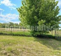 Kvetoslavov Land – for living Sale reality Dunajská Streda