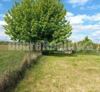 Kvetoslavov Land – for living Sale reality Dunajská Streda