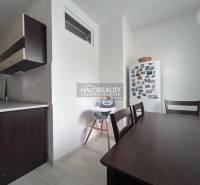 Nitra One bedroom apartment Rent reality Nitra