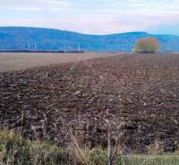 Trenčianske Bohuslavice Agrarian and forest land Sale reality Nové Mesto nad Váhom