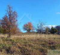 Ábelová Agrarian and forest land Sale reality Lučenec