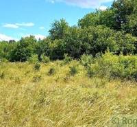 Ábelová Agrarian and forest land Sale reality Lučenec