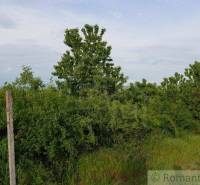 Častá Agrarian and forest land Sale reality Pezinok