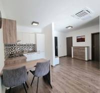 Trnava One bedroom apartment Rent reality Trnava