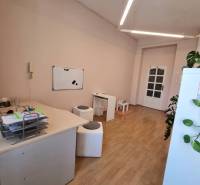 Trnava Offices Rent reality Trnava