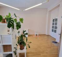 Trnava Offices Rent reality Trnava