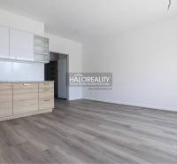 Jahodná One bedroom apartment Sale reality Dunajská Streda