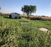 Dunajská Lužná Land – for living Sale reality Senec