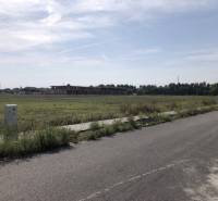 Dunajská Streda Land – for living Sale reality Dunajská Streda