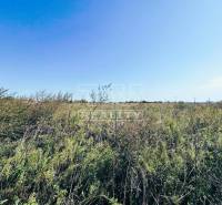 Kalinkovo Land – for living Sale reality Senec