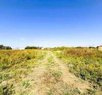 Kalinkovo Land – for living Sale reality Senec