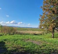 Boldog Land – for living Sale reality Senec