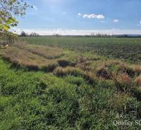 Senec Land – for living Sale reality Senec