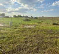 Martin nad Žitavou Land – for living Sale reality Zlaté Moravce