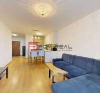 One bedroom apartment Rent reality Bratislava III