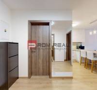 One bedroom apartment Rent reality Bratislava III