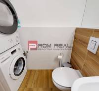 One bedroom apartment Rent reality Bratislava III