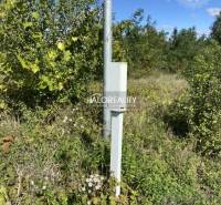 Kaplna Land – for living Sale reality Senec