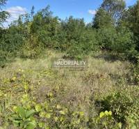 Kaplna Land – for living Sale reality Senec