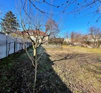 Beša Land – for living Sale reality Levice