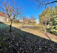 Beša Land – for living Sale reality Levice