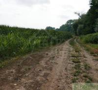 Pezinok Agrarian and forest land Sale reality Pezinok