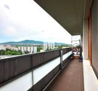 Nitra One bedroom apartment Rent reality Nitra