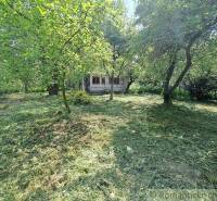 Podhorany Land – for living Sale reality Nitra