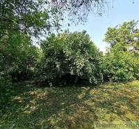 Podhorany Land – for living Sale reality Nitra