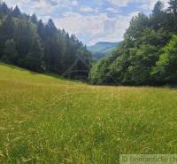 Záriečie Agrarian and forest land Sale reality Púchov