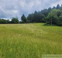 Záriečie Agrarian and forest land Sale reality Púchov