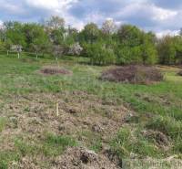 Dolné Kočkovce Agrarian and forest land Sale reality Púchov