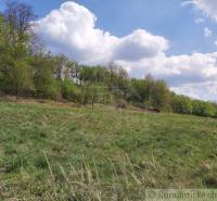 Dolné Kočkovce Agrarian and forest land Sale reality Púchov