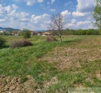 Dolné Kočkovce Agrarian and forest land Sale reality Púchov