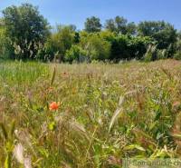 Radvaň nad Dunajom Agrarian and forest land Sale reality Komárno